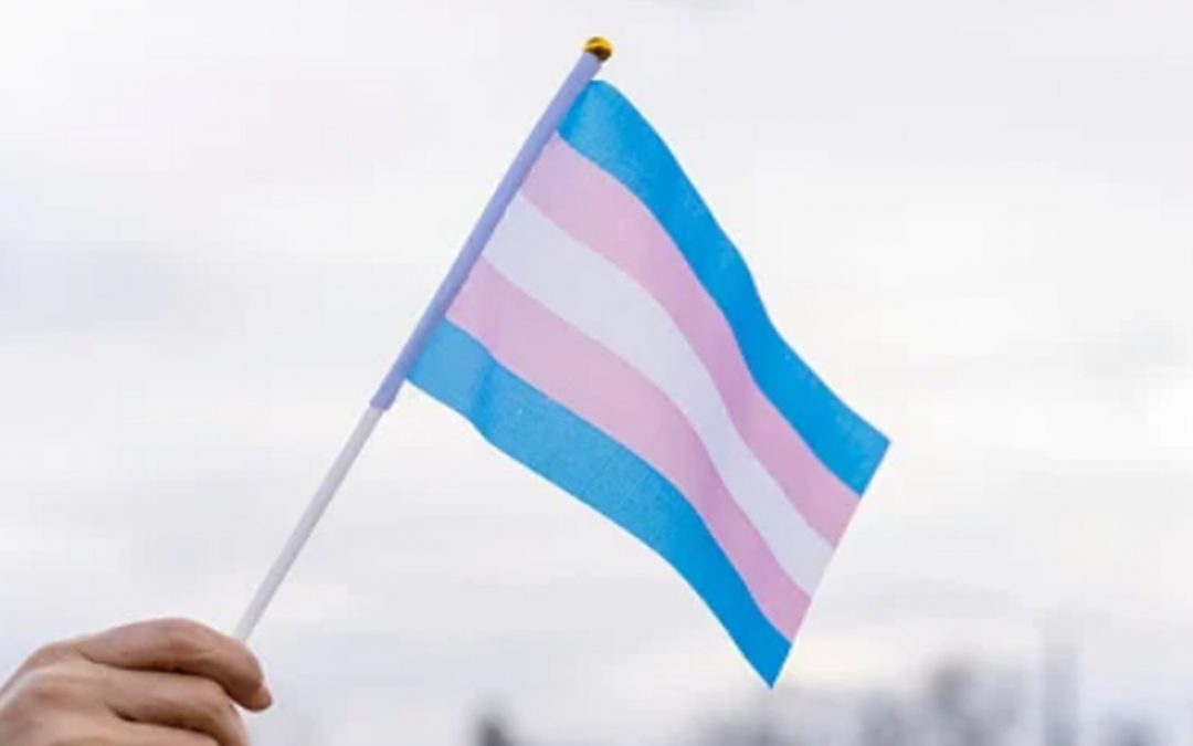 Dia da Visibilidade Trans: entenda conceitos e quais expressões evitar
